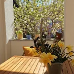 Apartman Soto