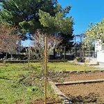 Soto Apartman Pirovac