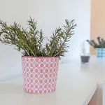 Apartman Soto